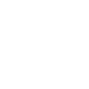 Icône billet d'avion – Colibri Voyage Icône billet d'avion double représentant un voyage en avion avec Colibri Voyage pour un voyage organisé