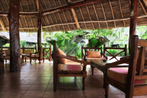 Espace lounge en lodge safari entouré de végétation, idéal pour se détendre lors d’un voyage ou d’un voyage organisé au Kenya ou en Tanzanie.