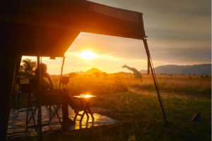 Voyageur en safari observant une girafe au coucher du soleil, une expérience incontournable lors d’un voyage ou d’un voyage organisé en Afrique.