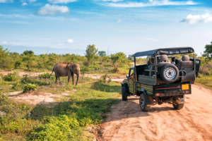 Éléphant marchant dans la savane devant un véhicule de safari, scène typique d’un voyage ou d’un voyage organisé au Kenya ou en Tanzanie.