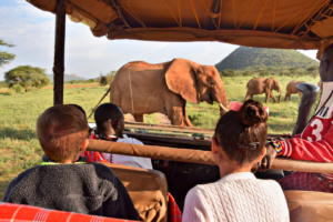 Famille observant des éléphants lors d’un safari en 4x4 dans la savane, une expérience typique d’un voyage ou d’un voyage organisé au Kenya ou en Tanzanie.