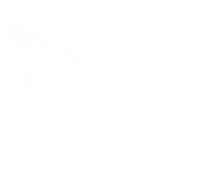 Logo Colibri Voyage en blanc, identité visuelle de l’agence de voyages spécialisée dans les voyages organisés et sur mesure au départ du Maroc.